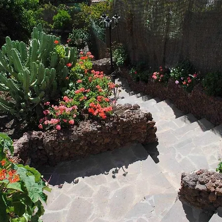 Casa Rural El Olivar La Almazara-2